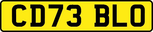 CD73BLO