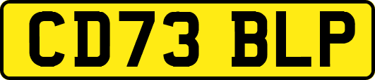 CD73BLP