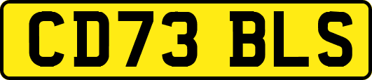 CD73BLS