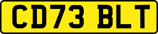 CD73BLT