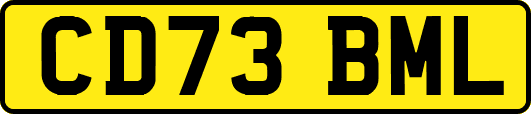 CD73BML