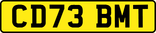 CD73BMT