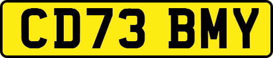 CD73BMY