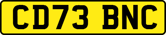 CD73BNC
