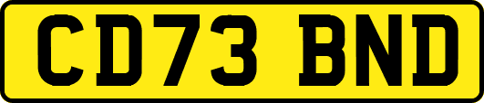 CD73BND