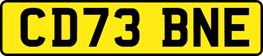 CD73BNE