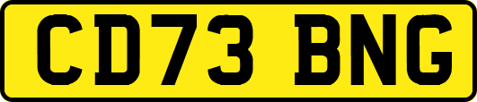 CD73BNG