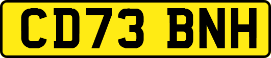 CD73BNH