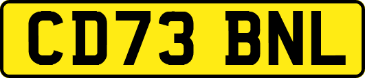 CD73BNL
