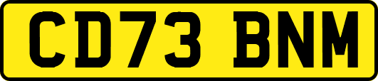 CD73BNM