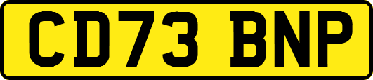CD73BNP