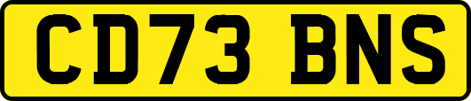CD73BNS
