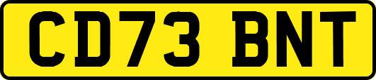 CD73BNT