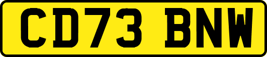 CD73BNW