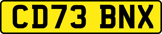 CD73BNX
