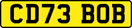 CD73BOB