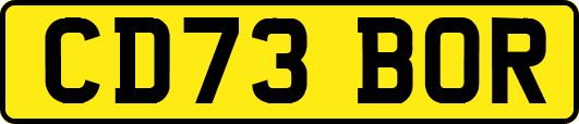 CD73BOR