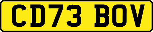 CD73BOV