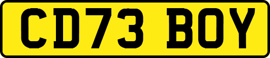 CD73BOY