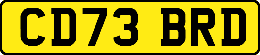 CD73BRD
