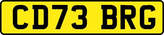 CD73BRG