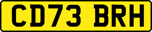 CD73BRH