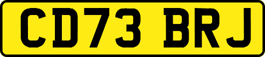 CD73BRJ