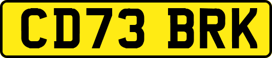 CD73BRK