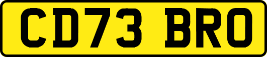 CD73BRO