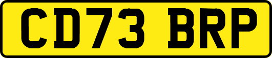 CD73BRP
