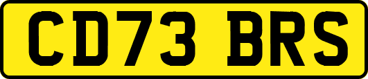 CD73BRS