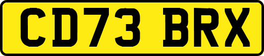 CD73BRX
