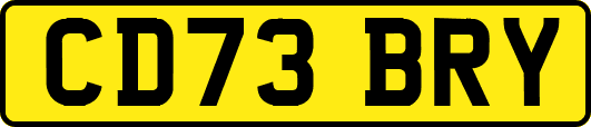 CD73BRY