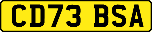 CD73BSA