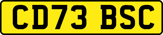 CD73BSC