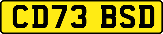 CD73BSD