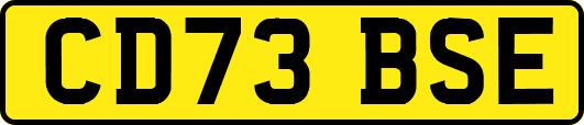 CD73BSE