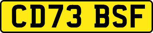 CD73BSF
