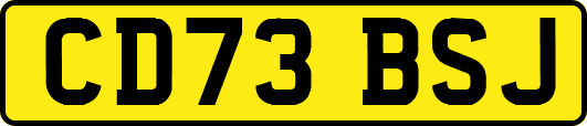CD73BSJ