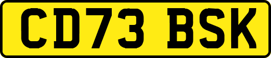 CD73BSK