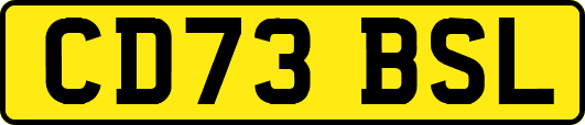 CD73BSL