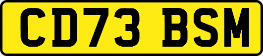 CD73BSM