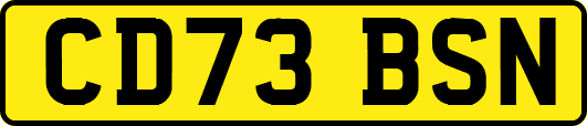 CD73BSN
