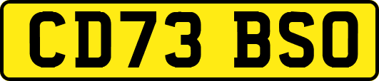 CD73BSO