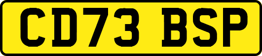 CD73BSP