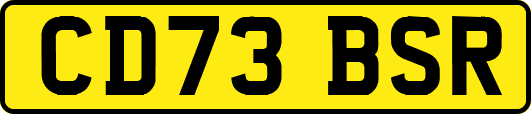 CD73BSR
