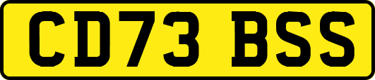 CD73BSS