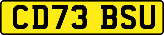 CD73BSU