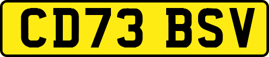 CD73BSV