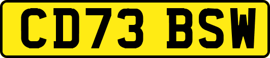 CD73BSW